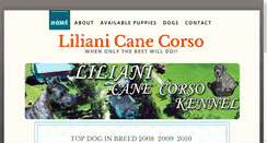 Desktop Screenshot of lilianicanecorso.com