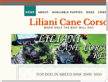 Tablet Screenshot of lilianicanecorso.com